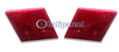 Piercing Earring, Handmade From Red Coral.
