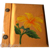 Photo Album, Handmade From Carton Decorated With Modern Painting