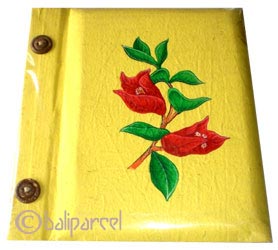 Photo Album, Handmade From Carton Decorated With Modern Painting