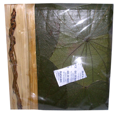 Photo Album, Handmade From Carton Decorated With Cinnamon Stick, Banana Bark Fibre And Natural Leaves