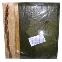 Photo Album, Handmade From Carton Decorated With Cinnamon Stick, Banana Bark Fibre And Natural Leaves