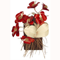 Orchid Wallhanging Dried Flower