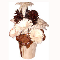 Bunch Dried Flower