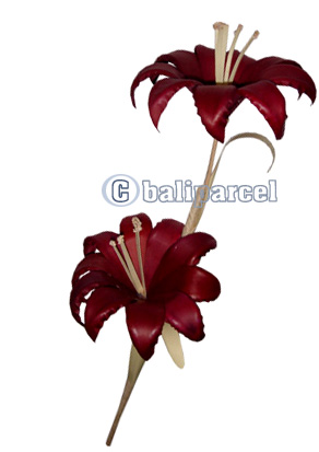 Bunch Dried Flower