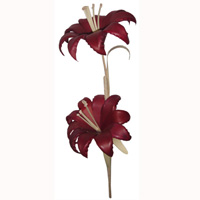 Bunch Dried Flower