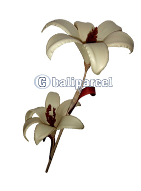 Bunch Dried Flower