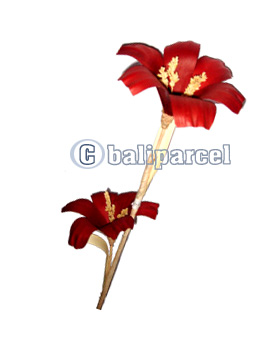 Bunch Dried Flower