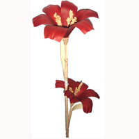 Bunch Dried Flower