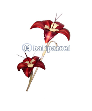 Bunch Dried Flower