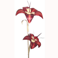 Bunch Dried Flower