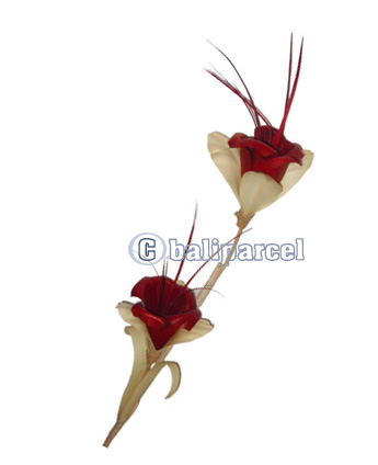Bunch Dried Flower