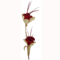 Bunch Dried Flower