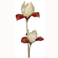 Bunch Dried Flower