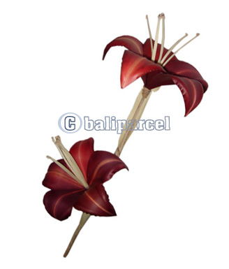 Bunch Dried Flower