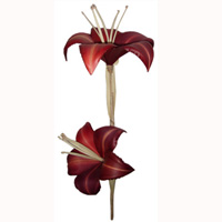 Bunch Dried Flower
