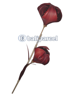 Bunch Dried Flower