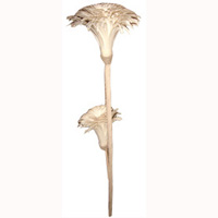 Bunch Dried Flower