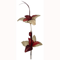 Bunch Dried Flower