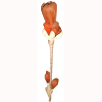 Bunch Dried Flower