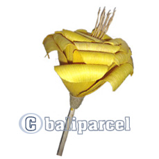 Bunch Dried Flower