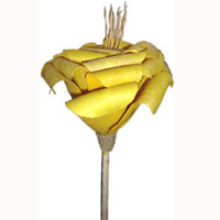 Bunch Dried Flower