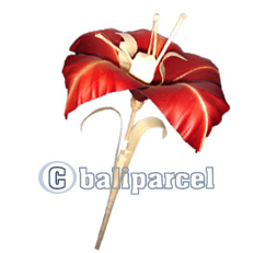 Bunch Dried Flower