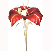Bunch Dried Flower