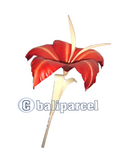 Bunch Dried Flower
