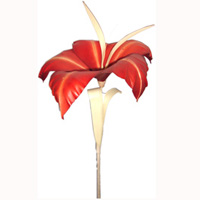 Bunch Dried Flower