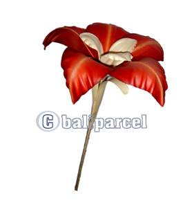 Bunch Dried Flower