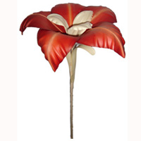 Bunch Dried Flower