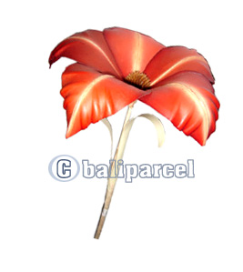 Bunch Dried Flower