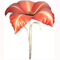 Bunch Dried Flower