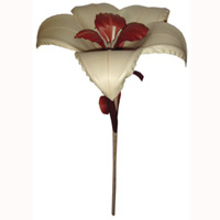 Bunch Dried Flower