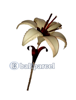 Bunch Dried Flower