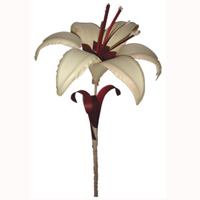 Bunch Dried Flower