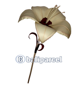 Bunch Dried Flower