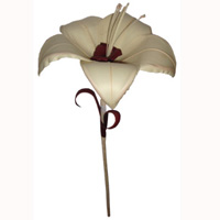 Bunch Dried Flower