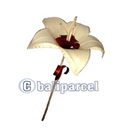 Bunch Dried Flower