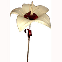 Bunch Dried Flower