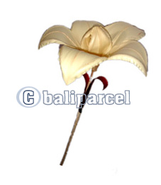 Bunch Dried Flower