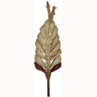 Bunch Dried Flower