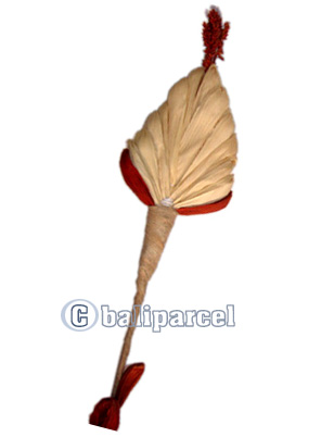 Bunch Dried Flower