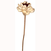 Bunch Dried Flower
