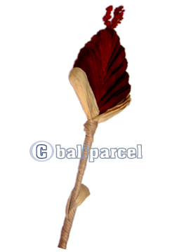 Bunch Dried Flower