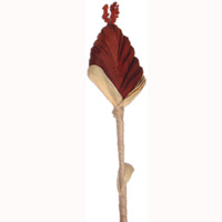 Bunch Dried Flower