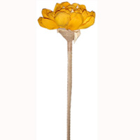 Bunch Dried Flower