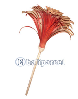 Bunch Dried Flower