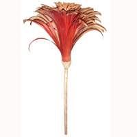 Bunch Dried Flower