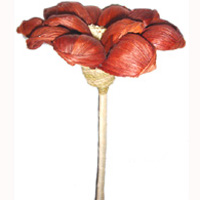 Bunch Dried Flower